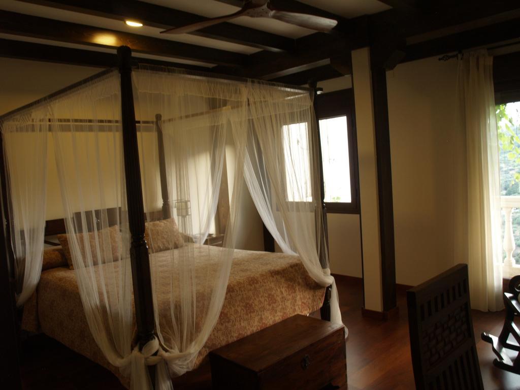 El Cerro - Only Adults 2*
